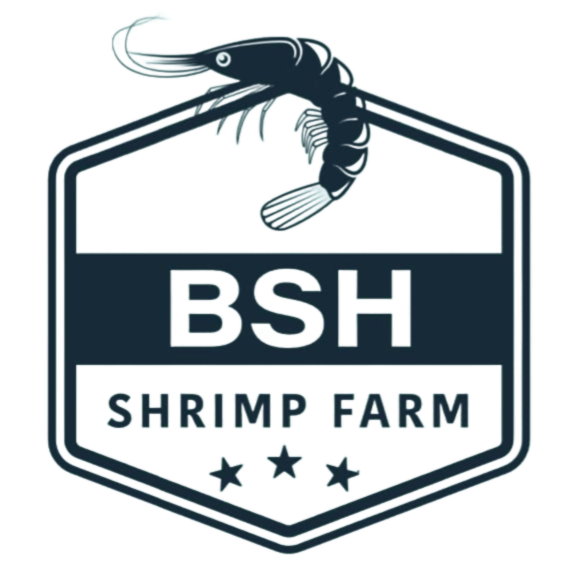 Logo BSH